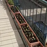 A'mare Salento Apartment Tricase